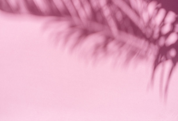 迷离的阴影热带棕榈叶在粉红色的墙壁背景。夏天的概念。图片下载