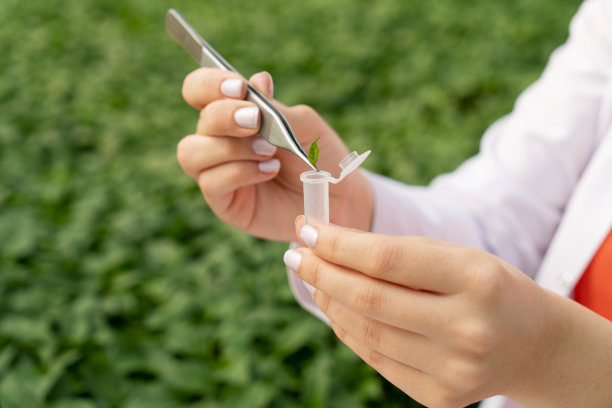 精准农业专家用镊子在受控环境下采集植物样本-农学家图片下载