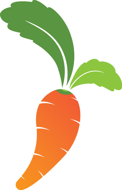 创意和现代甜胡萝卜水果图片下载