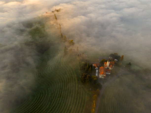 雾漂浮在山顶上的一座教堂上。日出时美丽葡萄园的雾气。Jeruzalem、斯洛文尼亚图片下载