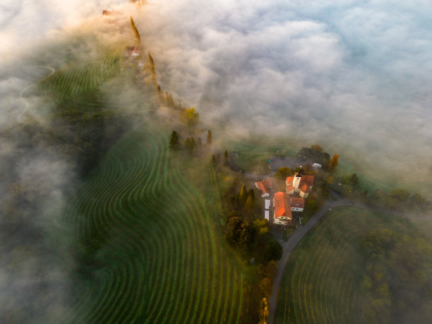 云层中的教堂鸟瞰图。晨雾中的葡萄园。Jeruzalem、斯洛文尼亚图片下载