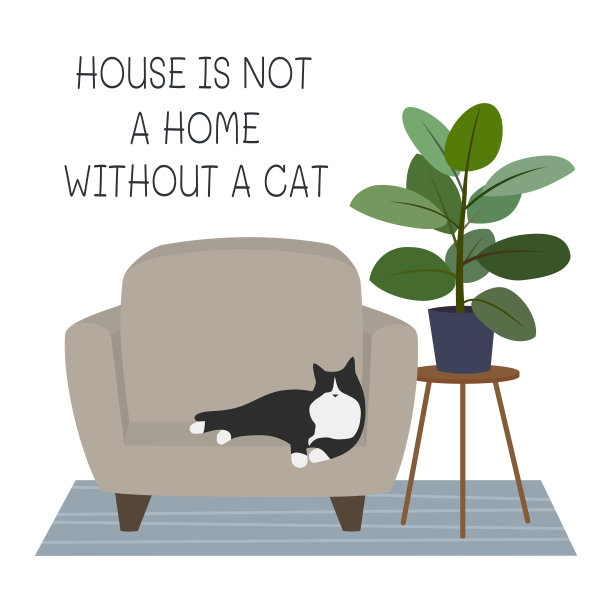 房子不是没有猫的家。猫躺在扶手椅上，地毯上，榕树上的凳子。图片下载