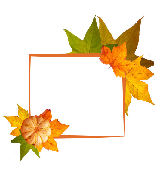 秋季模板与空白和秋季树叶图片下载