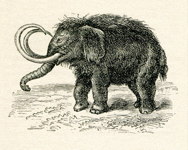 猛犸象灭绝大象绘画1896图片下载