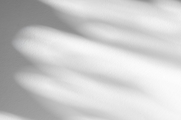 混凝土墙纹理与树叶阴影在水泥地板背景，空白色，灰色工作室房间与桌面，背景背景春季或夏季化妆品展示，模拟美容演示图片下载