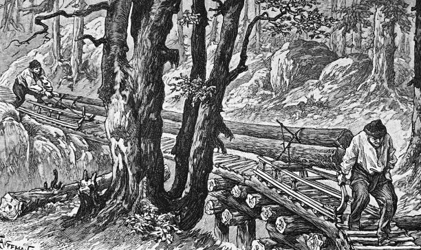 伐木工人把树干拖到山谷里图片下载