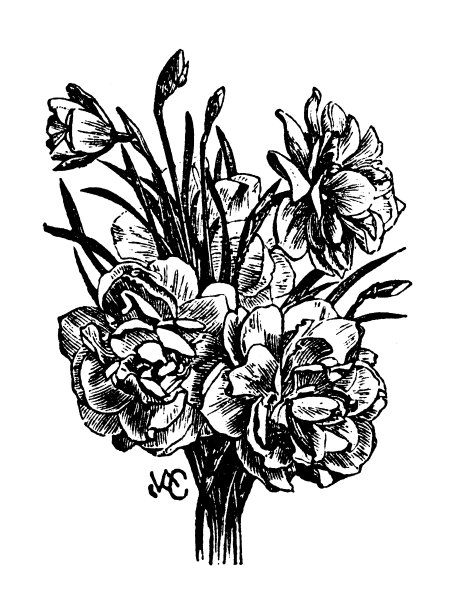 古董雕刻插图:诗人的水仙图片下载