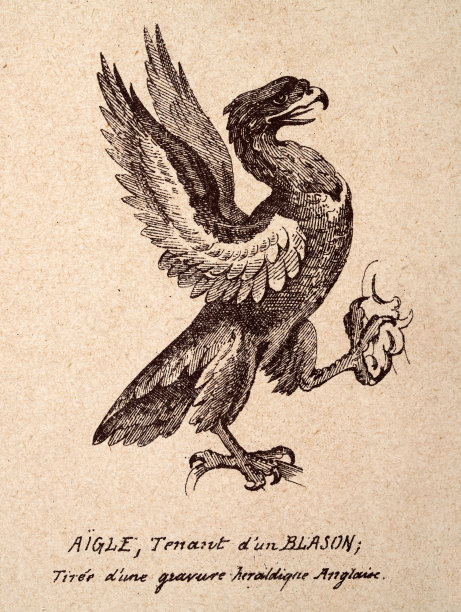 手持纹章的鹰，来自英国纹章雕刻图片下载
