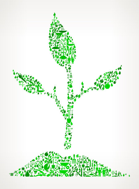 植物园林和园林背景模式图片下载