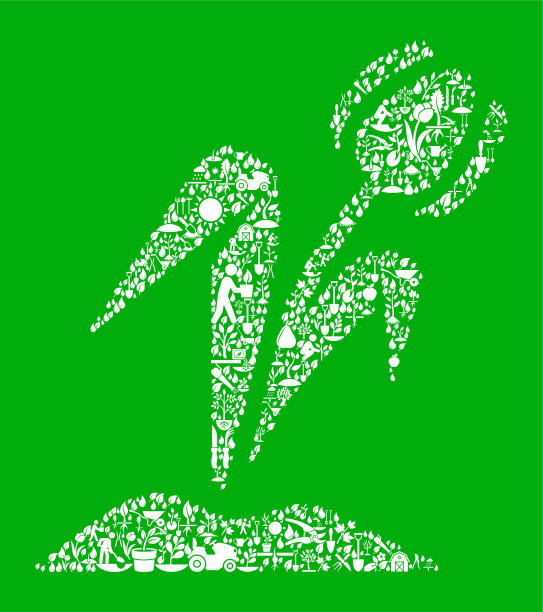 花卉绿色花园和园艺背景图案图片下载