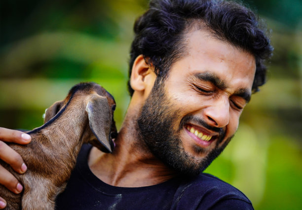 男孩和可爱的小山羊宠物动物图片下载