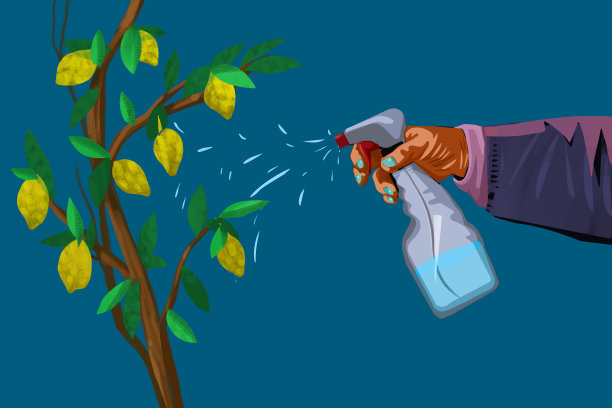 向树上喷水图片下载