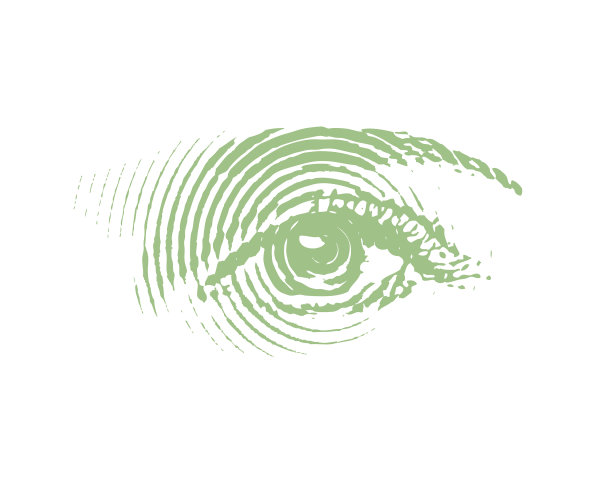 所有的导盲犬图片下载