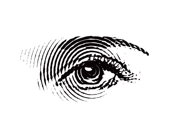 所有的导盲犬图片下载