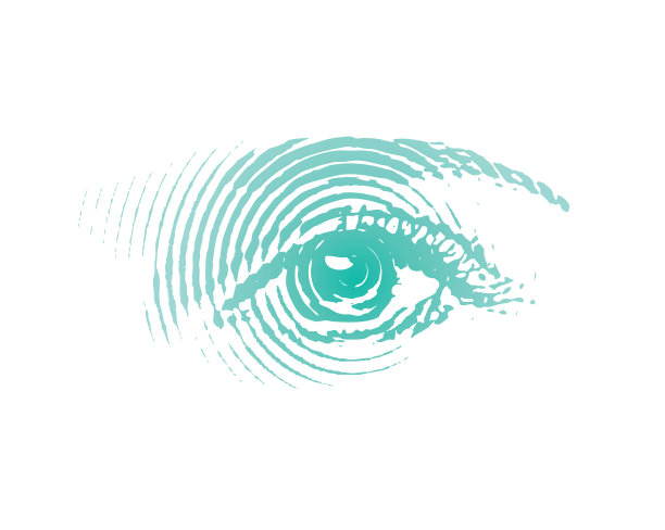 所有的导盲犬图片下载