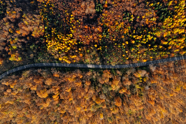 五彩秋林中蜿蜒山路的鸟瞰图图片下载