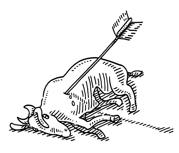 狩猎野生哺乳动物射箭图片下载