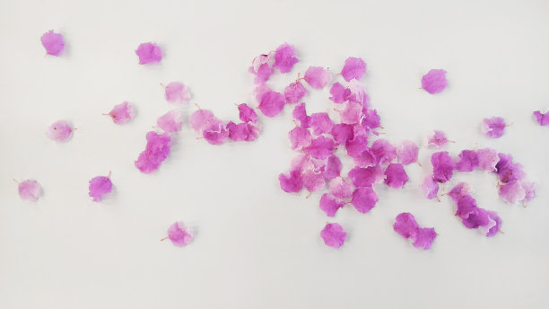 粉白色花朵图片下载