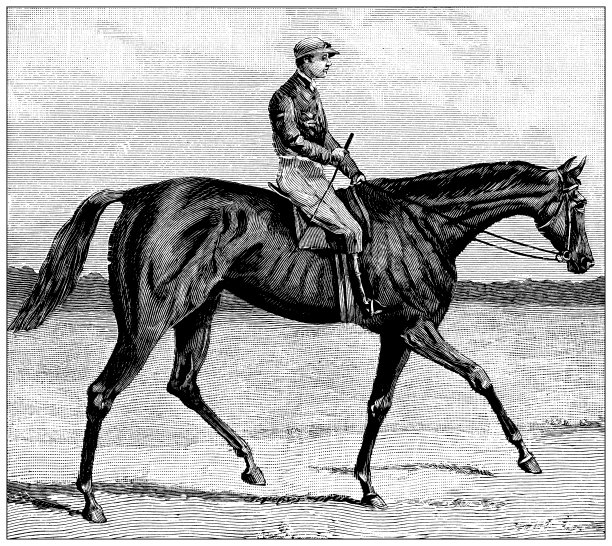 古董形象:“Roi Soleil”，巴黎大奖赛冠军图片下载