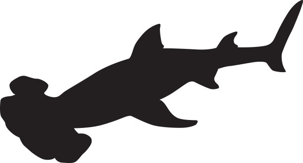 锤头鲨轮廓图片下载