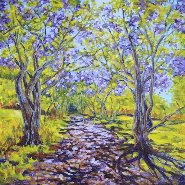 乡间小路上有开花的蓝花楹树图片下载