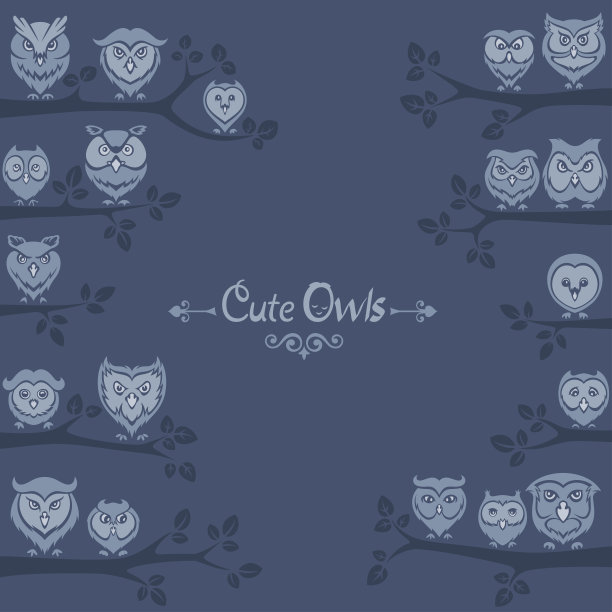 树枝上的猫头鹰图片下载