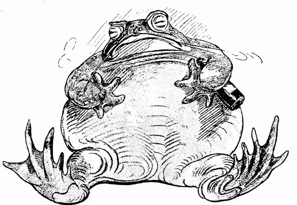 青蛙一脸愤怒图片下载