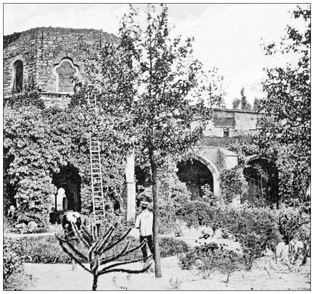 比利时的古董旅行照片:圣巴伐恩修道院图片下载