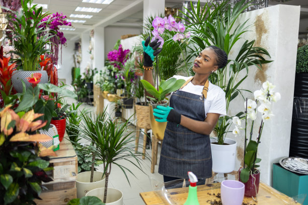 黑人女花店老板在花盆里检查兰花图片下载