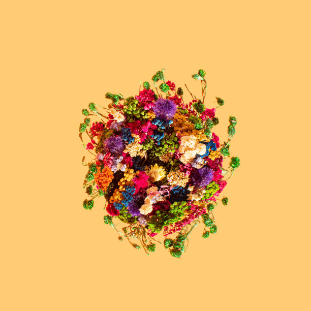 淡橙色背景上的干花花束。秋花概念。图片下载