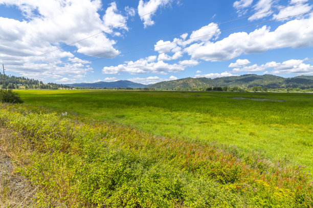位于美国爱达荷州卡塔多的Coeur d'Alene地区，靠近Coeur d'Alene小径黑岩步道起点的Lane Marsh Black Rock Slough的湿地保护和鸟类迁徙地点。图片下载