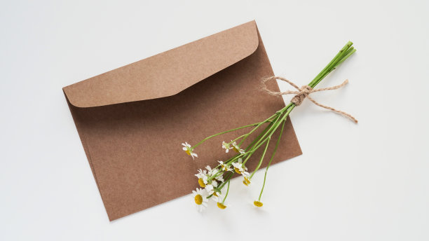 最小的构图，贺卡或节日邀请的模型，平面布局，复制空间。棕色工艺信封，文字空白卡片，洋甘菊枝。婚礼请柬，洗礼，生日，情书。图片下载