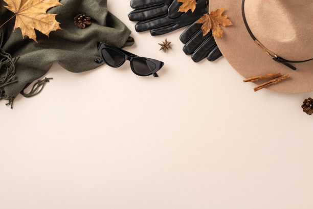 秋季主题的服装概念。顶视图沿毡帽，皮手套，时尚的眼镜，复杂的围巾，树叶，八角，肉桂，松果在白色背景，空白区域的文字或广告图片下载