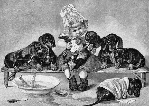 女孩在给腊肠狗和他的木偶打扫图片下载