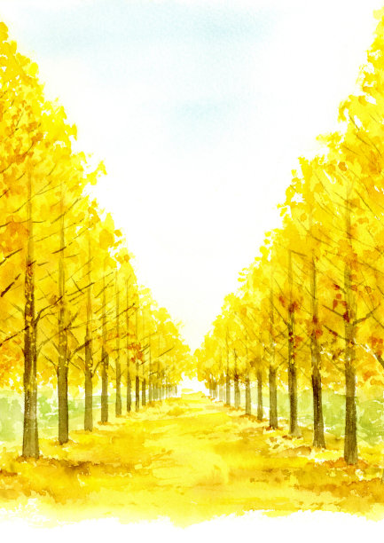 秋天银杏树的水彩画图片下载