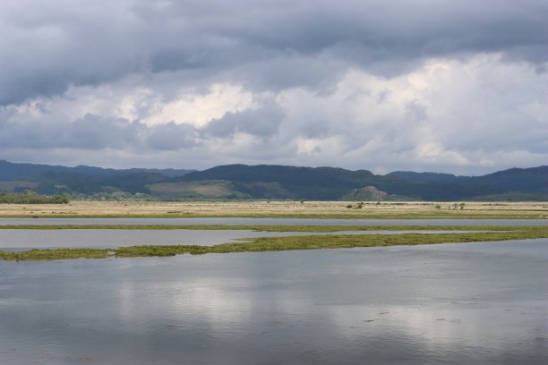 涨潮时，苏格兰梅因莫尔高地沼泽自然保护区的景色图片下载