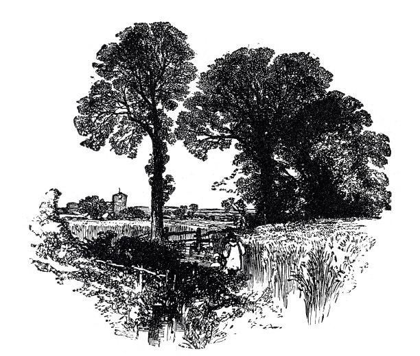 在战场上迷路的女孩图片下载