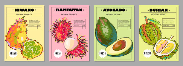 一套模板与水果为您的产品。Kiwano，红毛丹，鳄梨，榴莲。水果海报，标签，封面，价格标签，包装。卡通风格。矢量插图。图片下载