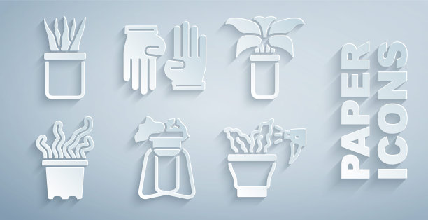 Set Plant on stand, Exotic tropical Plant in pot, spray, Rubber gloves and icon。向量图片下载