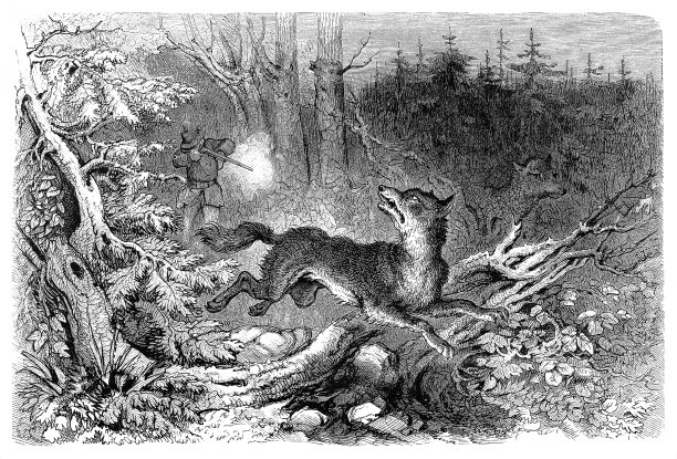 猎人射杀狼图片下载