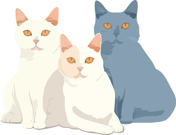 毛茸茸的小猫坐在一起图片下载