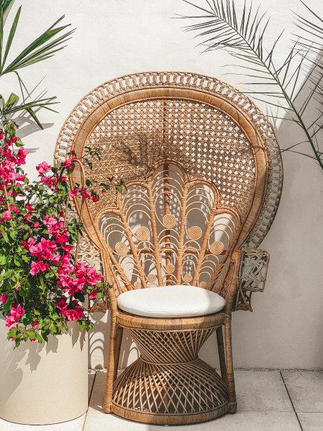 藤波西米亚孔雀椅巴厘岛风格与九重葛花图片下载