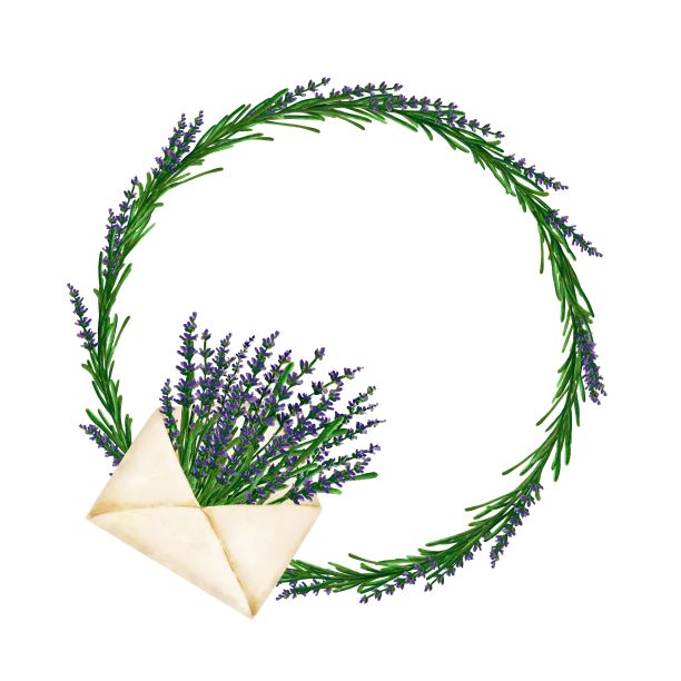 圆形花环从薰衣草细枝和信封薰衣草，手绘标记插图在水彩技术图片下载