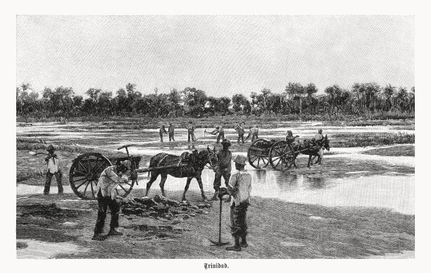 特立尼达的沥青采石，木刻，1899年出版图片下载