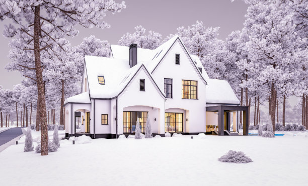 冬季傍晚的黑白现代都铎式房屋3d渲染图图片下载