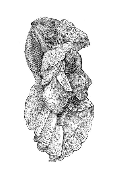 花边胸部装饰(领带)图片下载