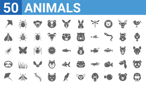 一组50个动物网络图标。填充字形图标，如海牛，蝠鲼，射线，树懒，银鱼，蜜蜂，螨虫，水豚。矢量图图片下载