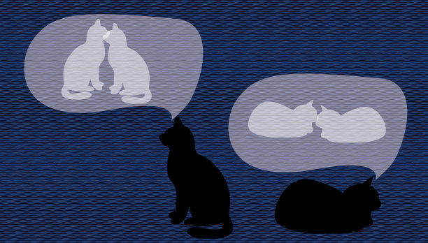 一对黑猫，背景是图片下载