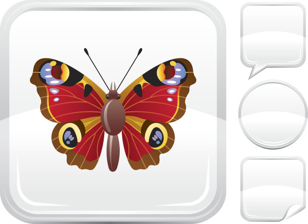 孔雀蝴蝶图标上的银按钮图片下载