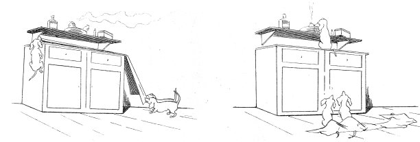 不识世事，是聪明狗的薪水图片下载